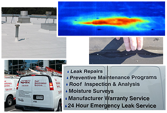Work Vans With a Thermal Image and Roofs